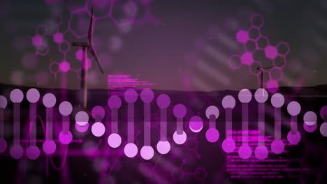 dna strand and hexagonal patterns animation over wind turbines at sunset