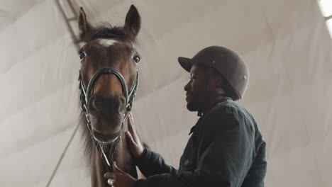 man petting a horse at a stable 1