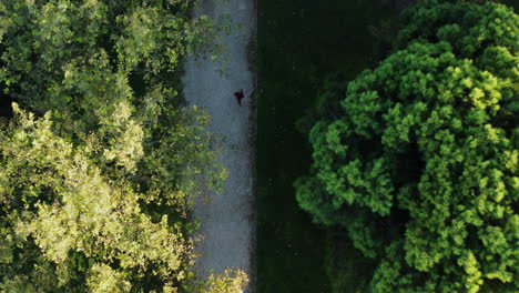 Dolly-En-Toma-De-Una-Persona-Caminando-Por-Un-Sendero-En-El-Parque-Enrique-Tierno-Galván