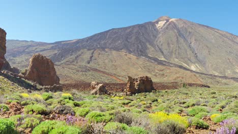 roque cinchado mount and inspiring landscape of teide park in tenerife