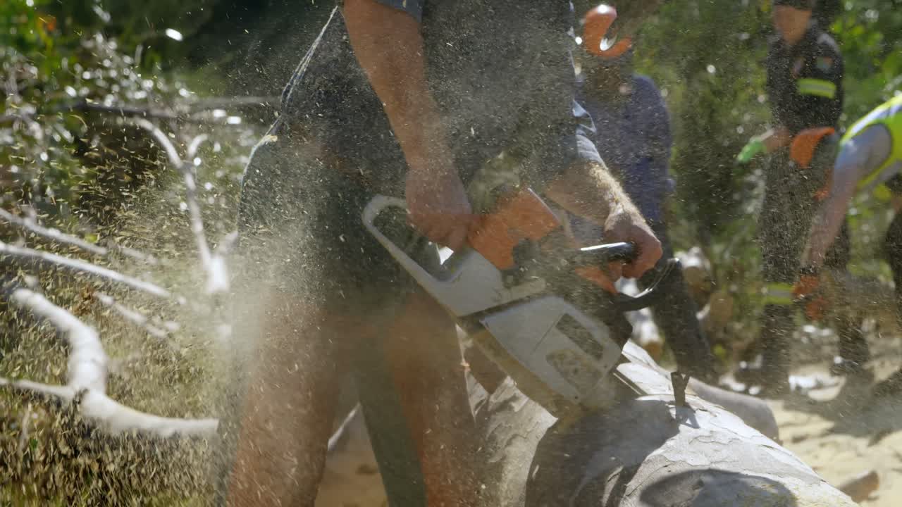 Lumberjack cutting fallen tree in the forest 4k