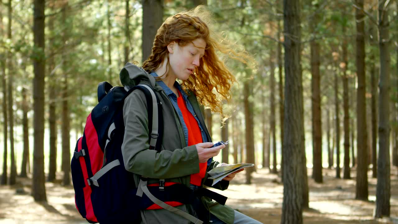 mujer usando teléfono móvil en el bosque 4k