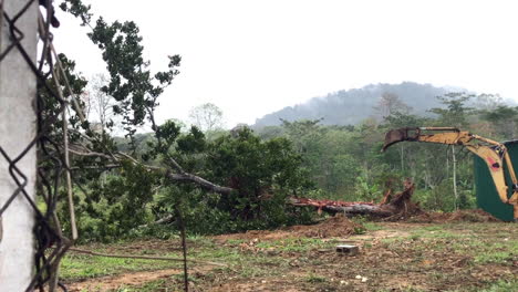 El-árbol-Cae-Después-De-Que-La-Retroexcavadora-Lo-Arranca,-En-Un-Día-Lluvioso-En-Un-Terreno-Baldío