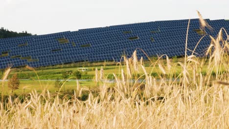 static shot of solar panel farm situated on hill side while sun rays appears and disappears