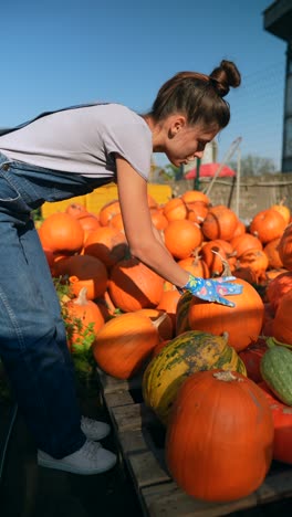 woman picking pumpkins at a market