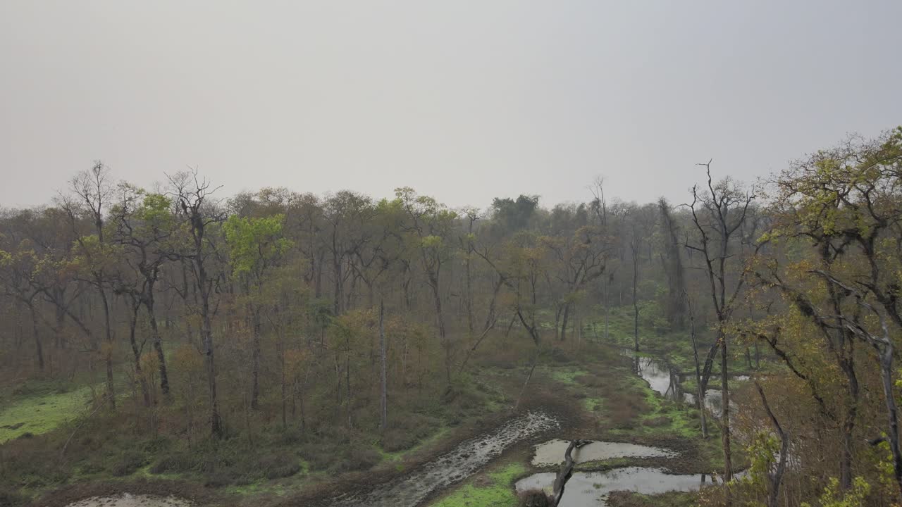 Drone footage moving forward smoothly over diverse landscapes, capturing immersive aerial views and natural scenery. Ideal for travel, nature, and cinematic projects needing dynamic shots