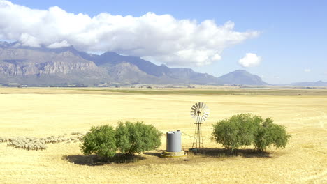 Some-of-the-best-crops-are-grown-in-dry-climates