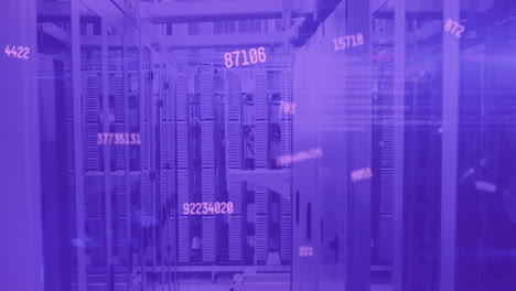 animación de números rosados cambiando sobre la sala de tecnología con servidores de computadora