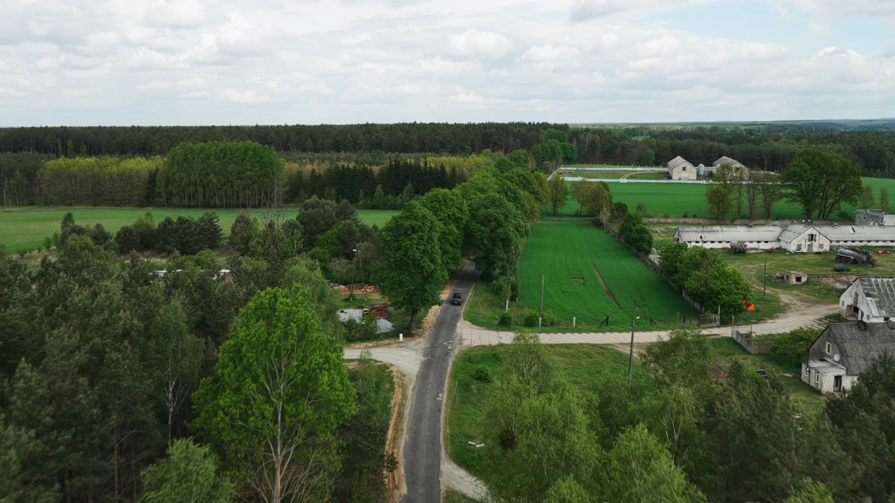 Strada stretta che si snoda attraverso una fitta foresta verde e un'area agricola in Polonia - Ripresa con drone