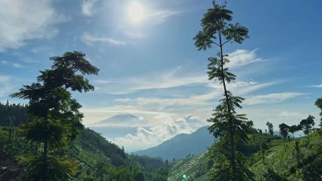 beautiful landscape