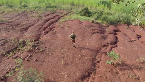 Toma-Aérea-Rastreando-A-Un-Jengibre-Barbudo-Al-Aire-Libre-Que-Sale-De-Un-Bosque-De-Pinos-En-Una-Montaña-Y-Baja-A-Las-Cañas-De-Azúcar