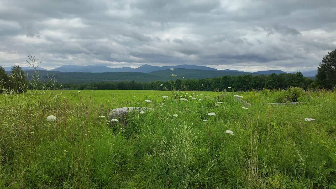 Time lapse from ground level on a dark cloudy day from Route 86 near Saranac Lake New York looking toward the High Peaks of the Adirondack Mountains with clouds moving fast and field in the foreground