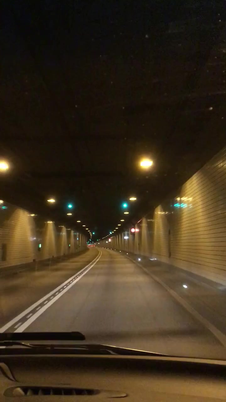 Guidando attraverso il tunnel a più corsie dell'Elba ad Amburgo, che mostra pareti illuminate, luci a soffitto, segnaletica stradale e una carreggiata vuota che si estende in avanti in Germania