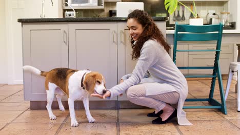 mujer feliz alimentando a su perro mientras acaricia 4k 4k