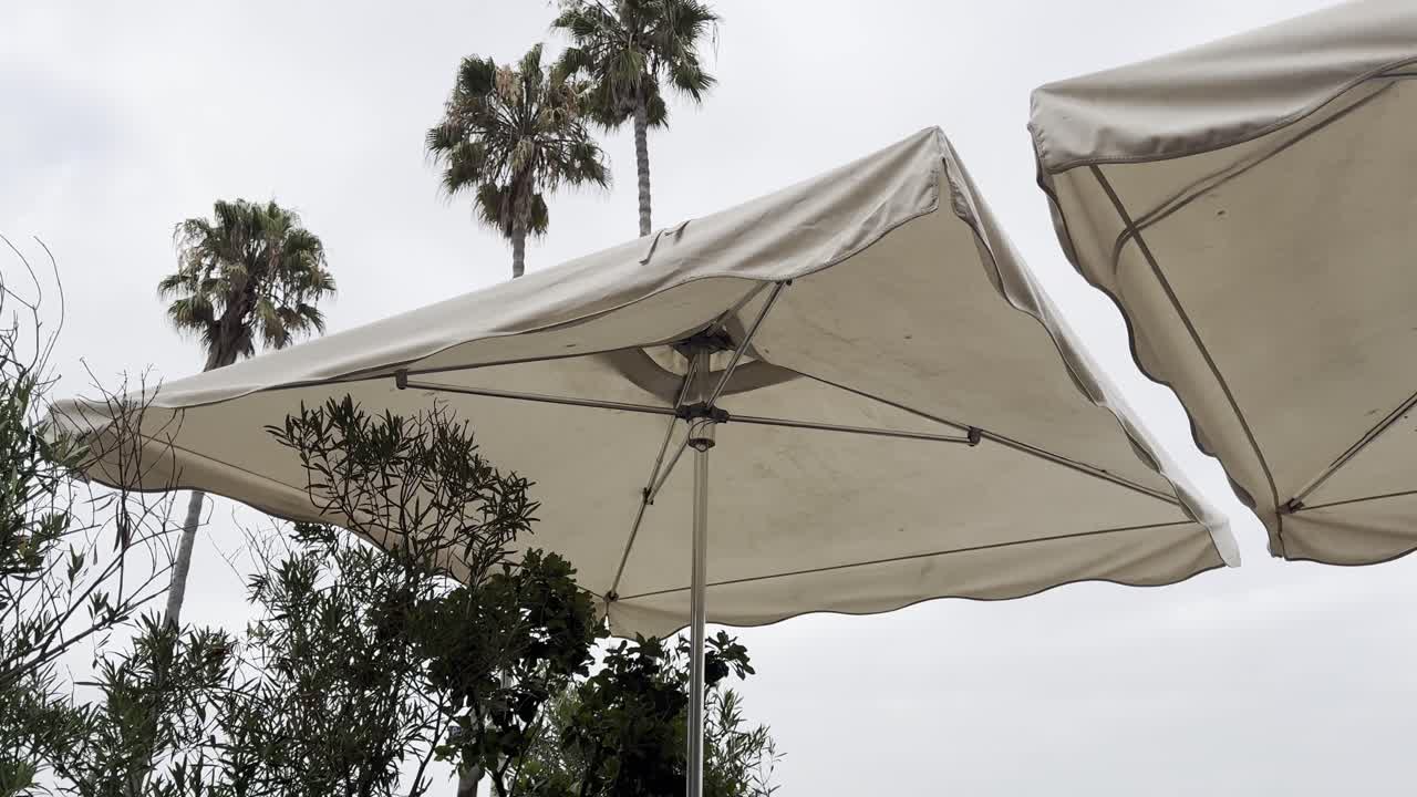 Venice, California, Cappuccino on the boardwalk tilt up