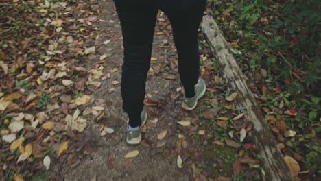 person walking on trail in autumn forest in cheltenham badlands, ontario, canada - slow motion