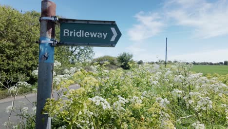 bridleway signpost with direction arrow in rural countryside ground elder hedgerow