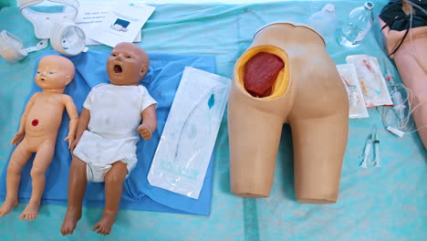 various dummies on desk in medical room. plastic parts mannequins of human's body and infant models on the table for students practice in university.