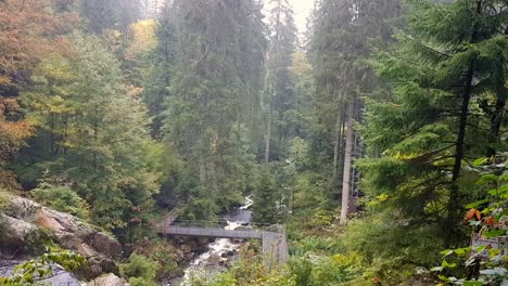 static above view of beautiful triberg waterfall stream in the black forest with bridge during fall day