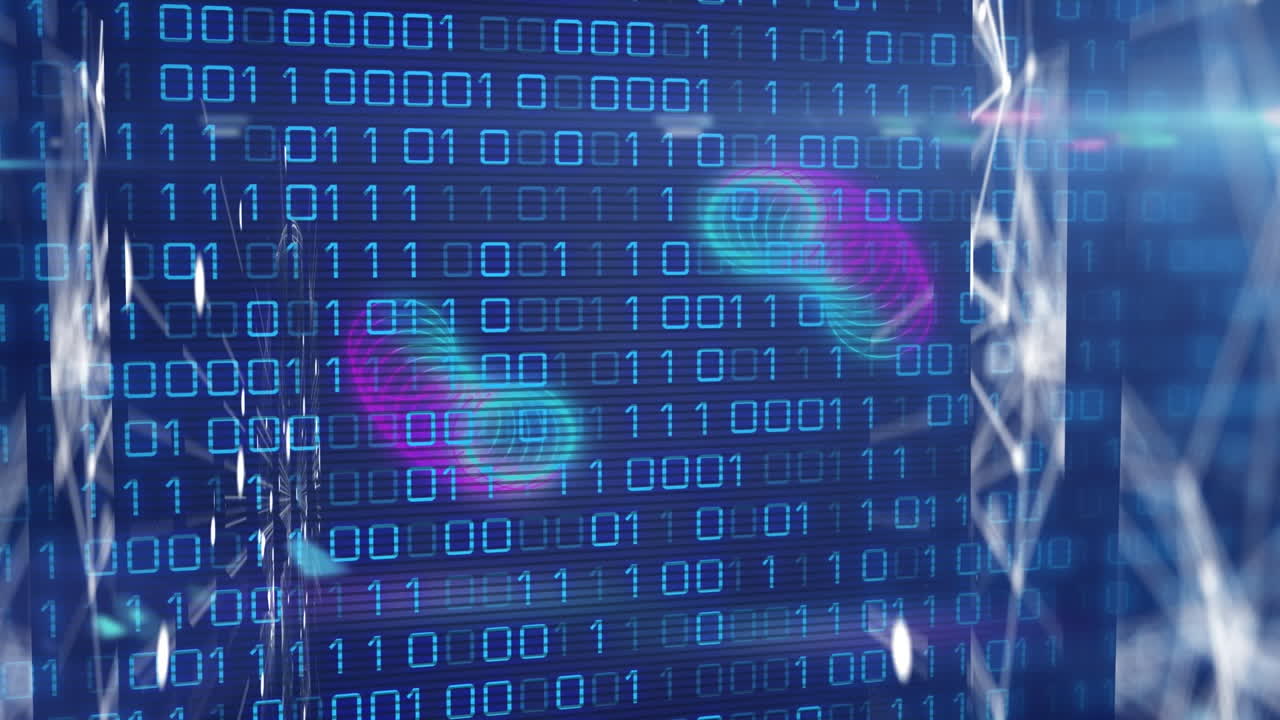 Animation of network of connections and binary coding data processing