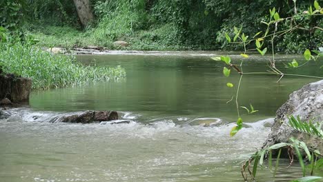 Close-up-of-calm-river-with-overhanging-branches-and-leaves-in-Thailand