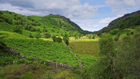 una escena típica del paisaje de un valle en cumbria, el distrito inglés de los lagos