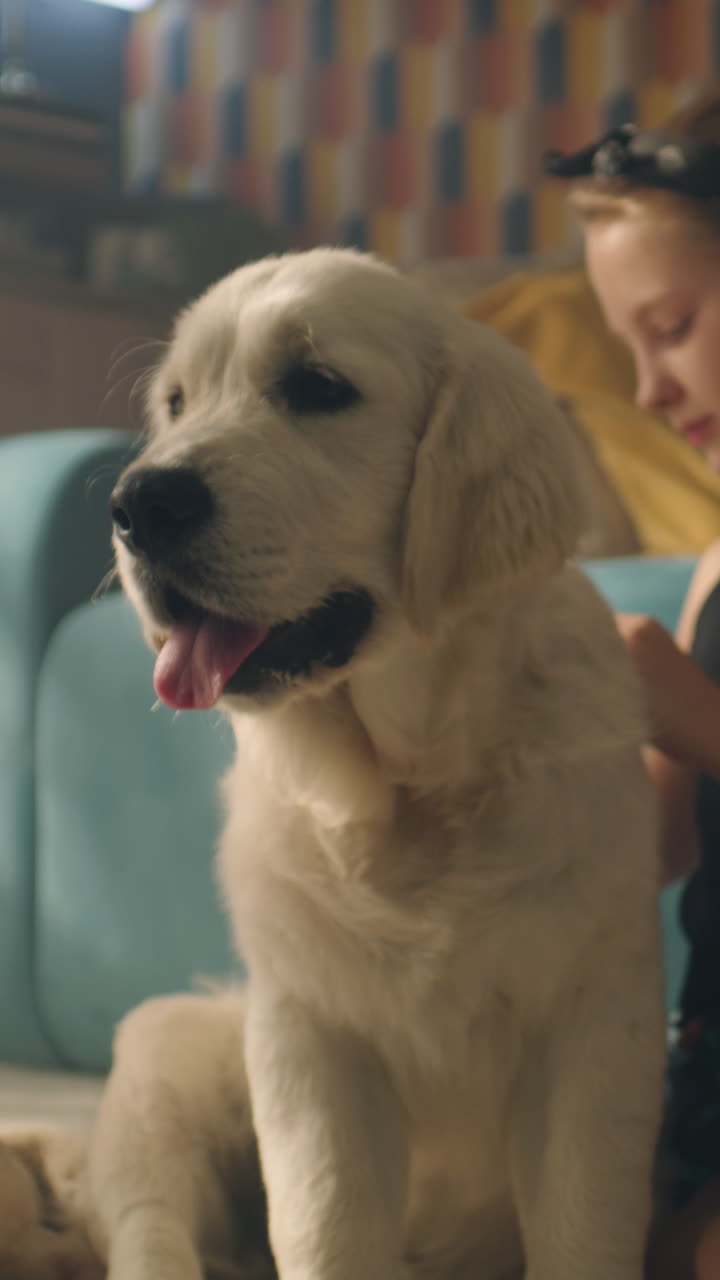 Girl Playing with a Puppy on the Sofa