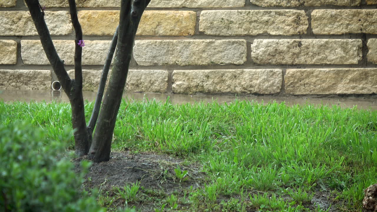 보도 경로, 4k에 편안한 비가 튀다