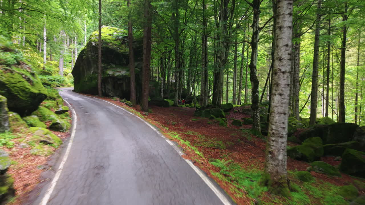 Aerial drone shot following a paved road through a lush green forest in Switzerland, with sunlight filtering through trees and moss-covered rocks