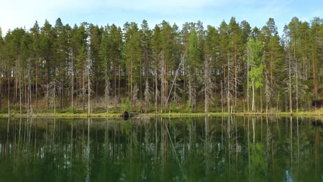 Vista-Aérea-Del-Lago-Y-El-Bosque-En-Finlandia.-Hermosa-Naturaleza-De-Finlandia.