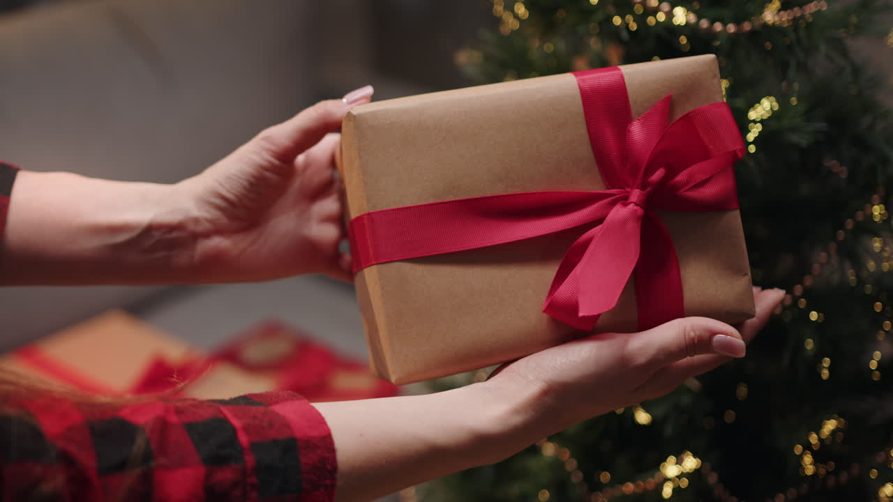 Christmas gift presentation