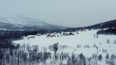 Flying-over-Nordic-Forest-in-Wintertime