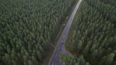 aerial bird view of forest road in finland, black car driving on the road, drone following car, traffic, summer, overcast day