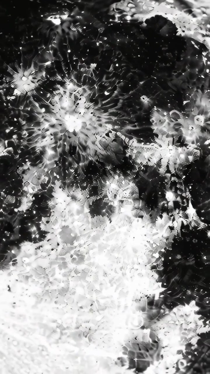 Video verticale: Mostra una superficie liquida reattiva che forma pennacchi radiali in un piatto poco profondo dopo gli impatti.
