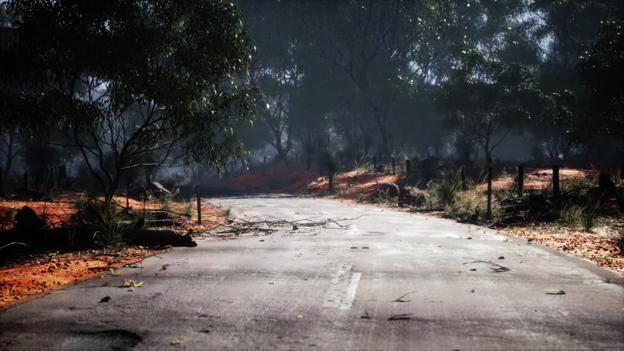 나무 가 있는 깨 ⁇  한 시골 도로