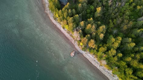 Aerial-coastal-topdown-view-of-lake-huron-and-dense-forest-beach,-Michigan