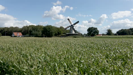 moviéndose hacia un molino de viento giratorio detrás de un hermoso campo de trigo verde