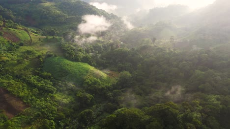 cinematic aerial view of misty green forest in central american jungles, honduras