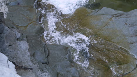 vista de arriba hacia abajo del salmón coho luchando contra una pequeña cascada sobre rocas para desovar