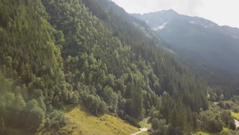 Un-Dron-Disparó-Sobrevolando-Con-Cierta-Rotación-A-La-Derecha-Sobre-Los-árboles-Al-Lado-De-Un-Valle-Montañoso-En-Suiza-En-4k