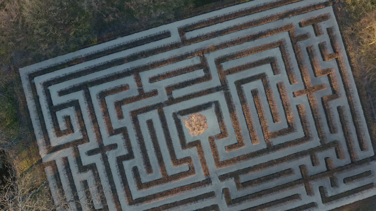Aerial View of a Large Outdoor Maze