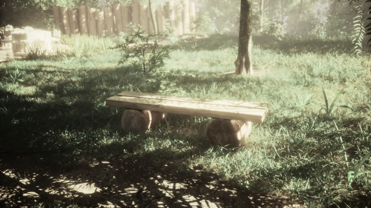 Relaxing wooden bench in a serene forest clearing during daylight