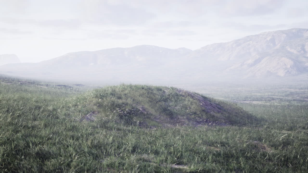 Mist covered hills with lush grass and distant mountains at dawn