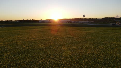 Luftsonnenuntergangflug-über-Gelbem-Blumenfeld-In-Bayern-Deutschland