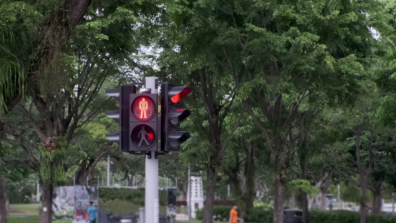 Pedestrian Traffic Lights in a Park