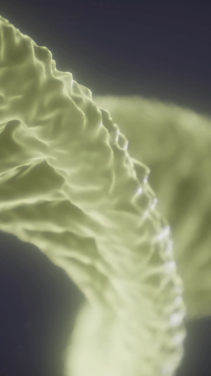 Exploring dnas structure reveals the beauty of genetics