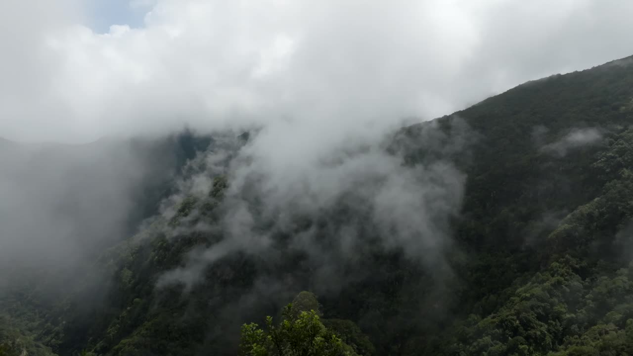포르투갈 마데라 산에서 촬영된 영상