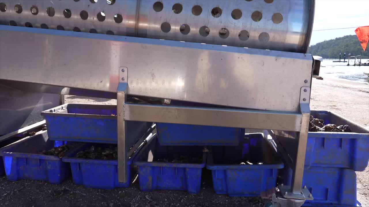 Side profile of spinning drum sorting machine that separates Sydney Rock Oysters into containers, New South Wales, Australia