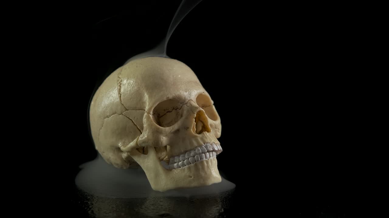 блестящий череп.