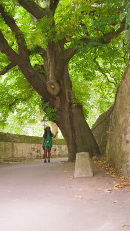 video vertical de una turista con cámara de vacaciones en oxford, reino unido, explorando la calle de la ciudad, caminando a lo largo del pasaje del cordero y la bandera, tocando el árbol 1.